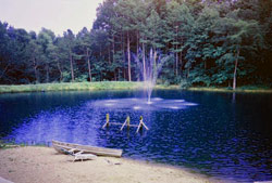 Pond with fountain