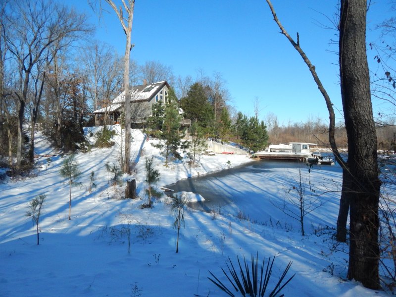 Cabin One